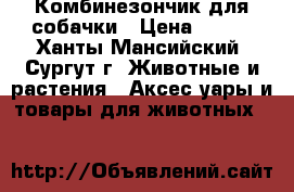 Комбинезончик для собачки › Цена ­ 700 - Ханты-Мансийский, Сургут г. Животные и растения » Аксесcуары и товары для животных   